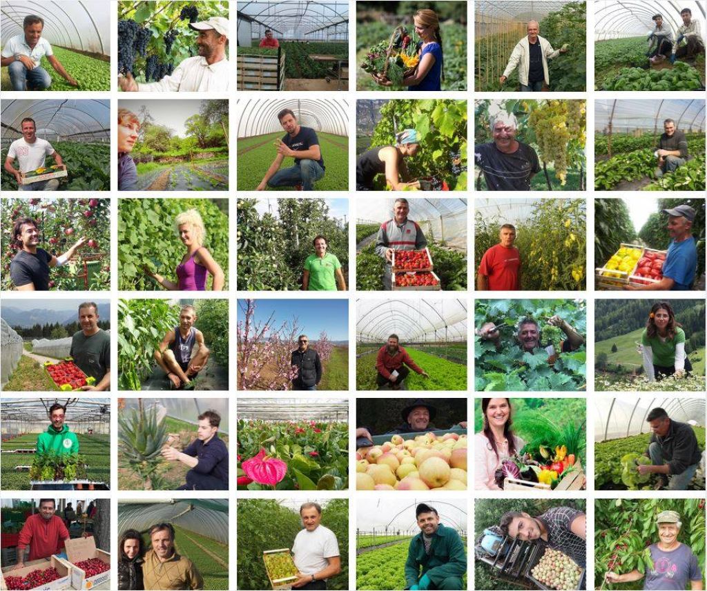 La scelta degli Agricoltori